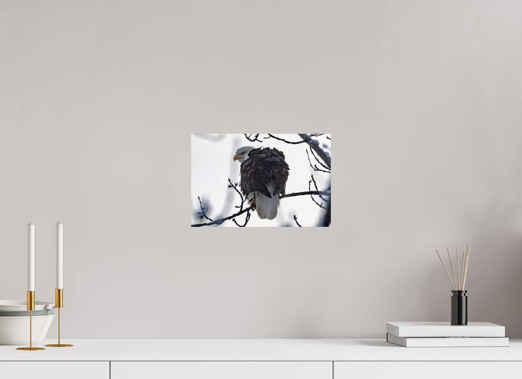 12 x 8″, Photo Print On Fuji Crystal DP II Winter Bald Eagle