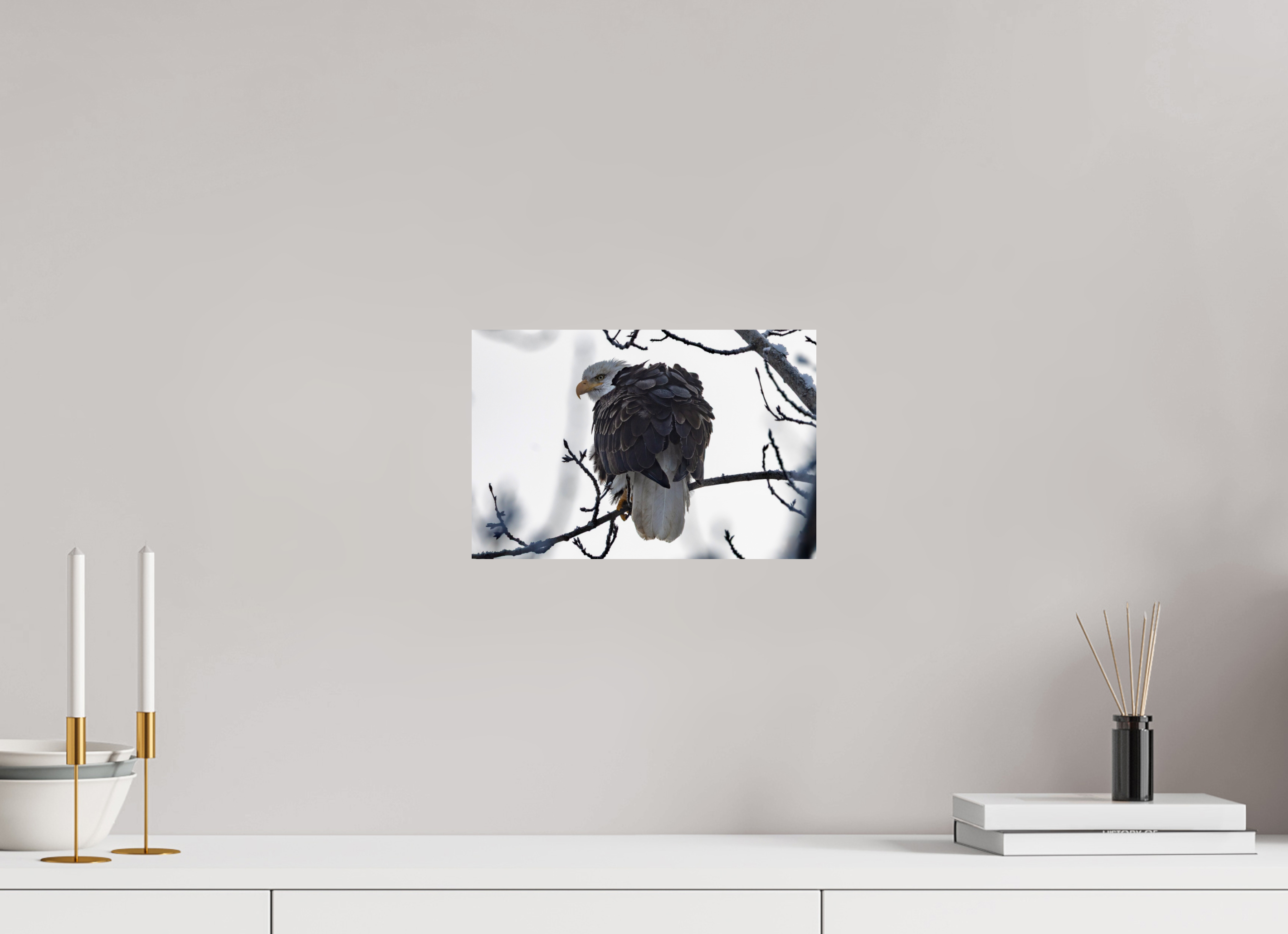 12 x 8″, Photo Print On Fuji Crystal DP II Winter Bald Eagle