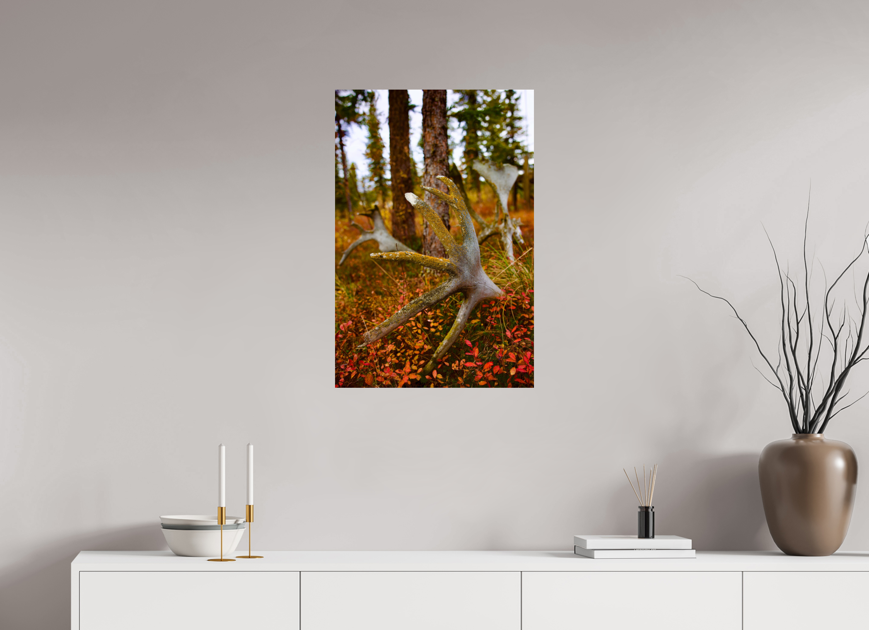 20 x 30″, Photo Print On Fuji Crystal DP II Caribou Antlers