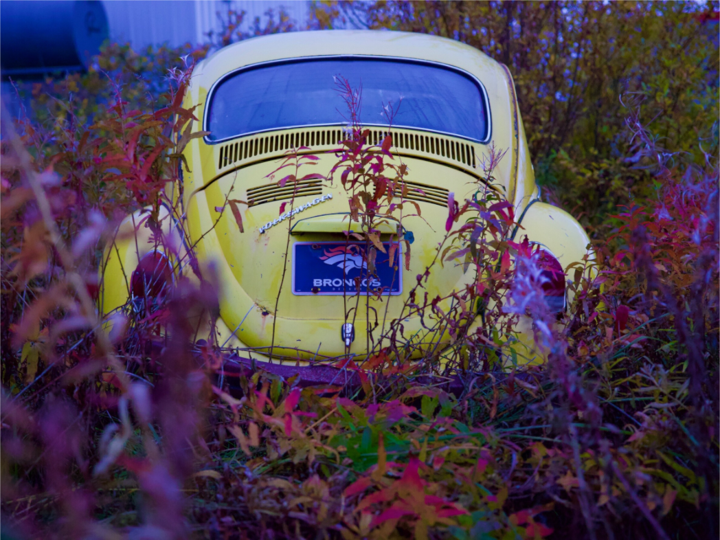 Main image VW Bug