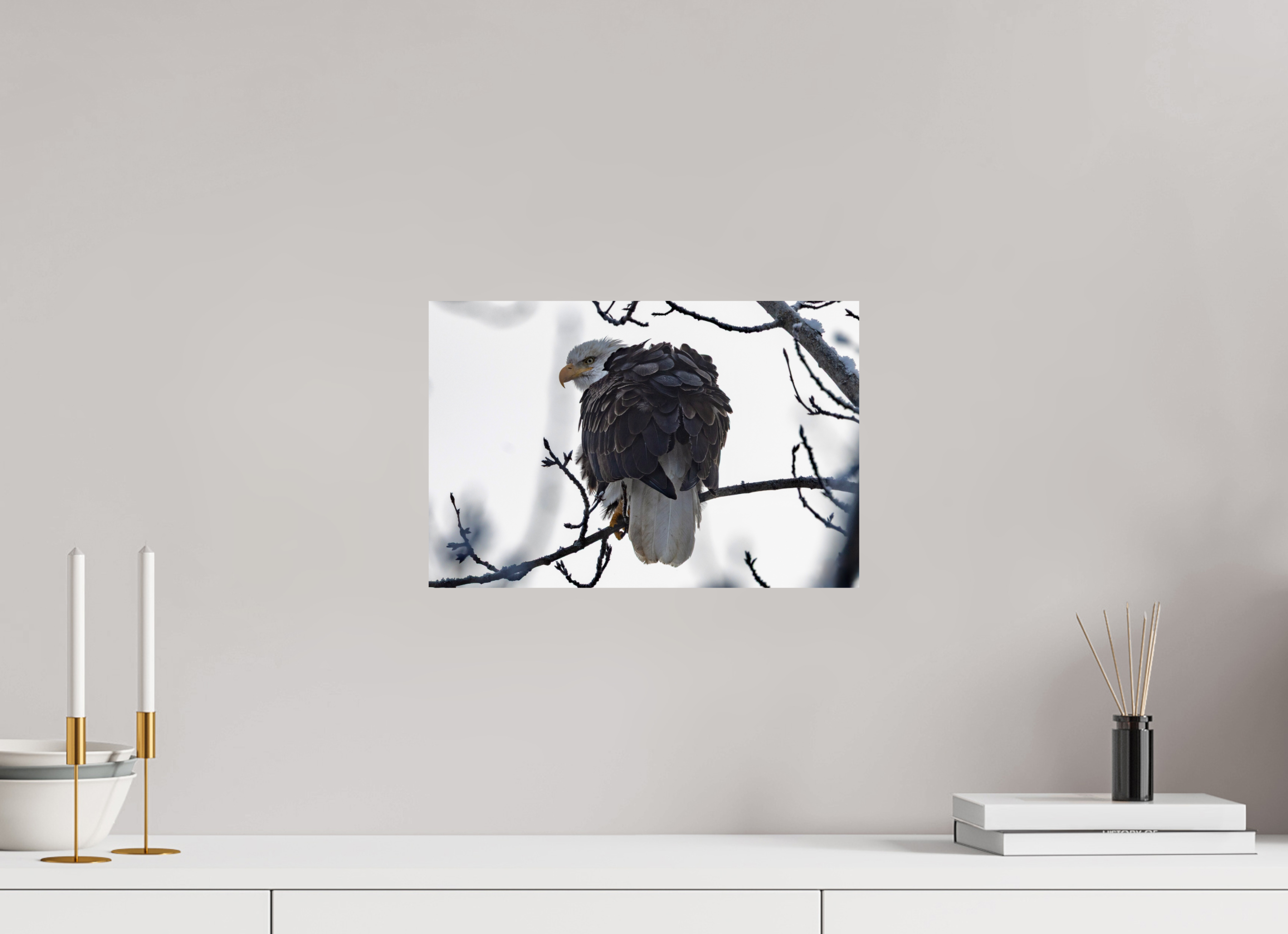 15 x 10″, Photo Print On Fuji Crystal DP II Winter Bald Eagle