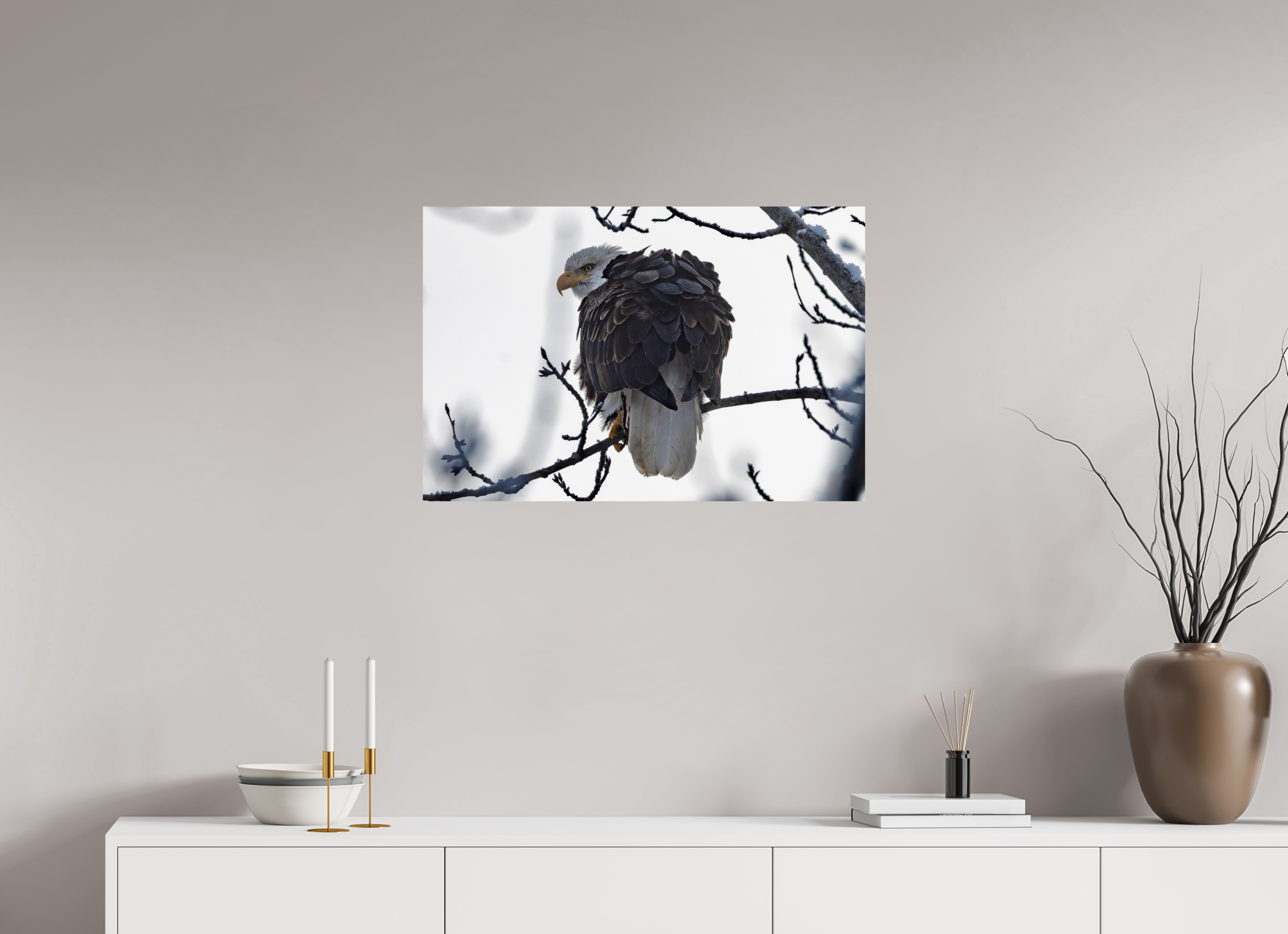 30 x 20″, Photo Print On Fuji Crystal DP II Winter Bald Eagle